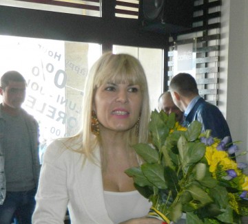Tomac lămureşte situaţia Elenei Udrea în PMP: Îi urăm succes...